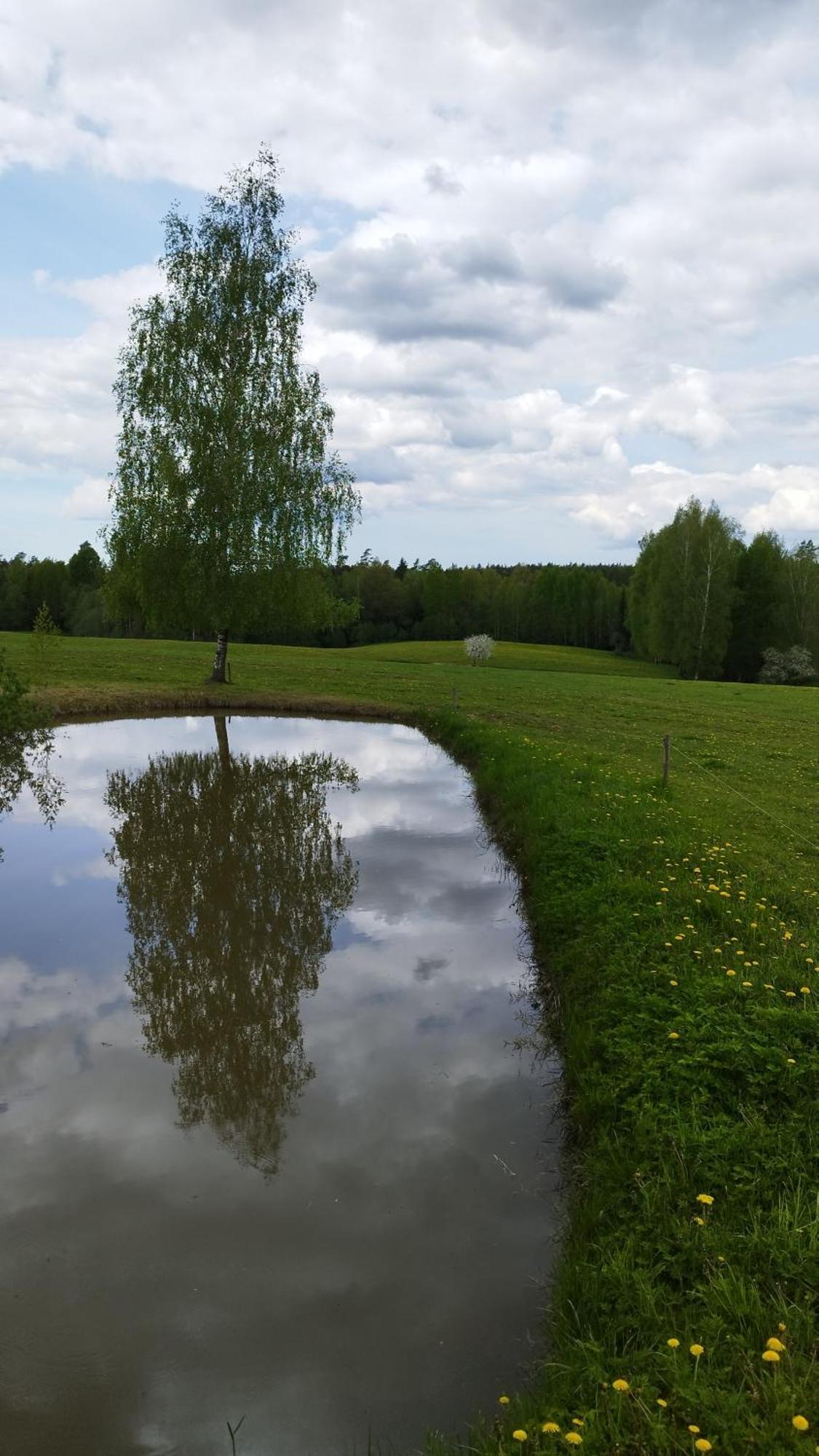 Вилла Unique Countryhouse & Sauna In Gauja Valley - Kakukalns Страупе Экстерьер фото