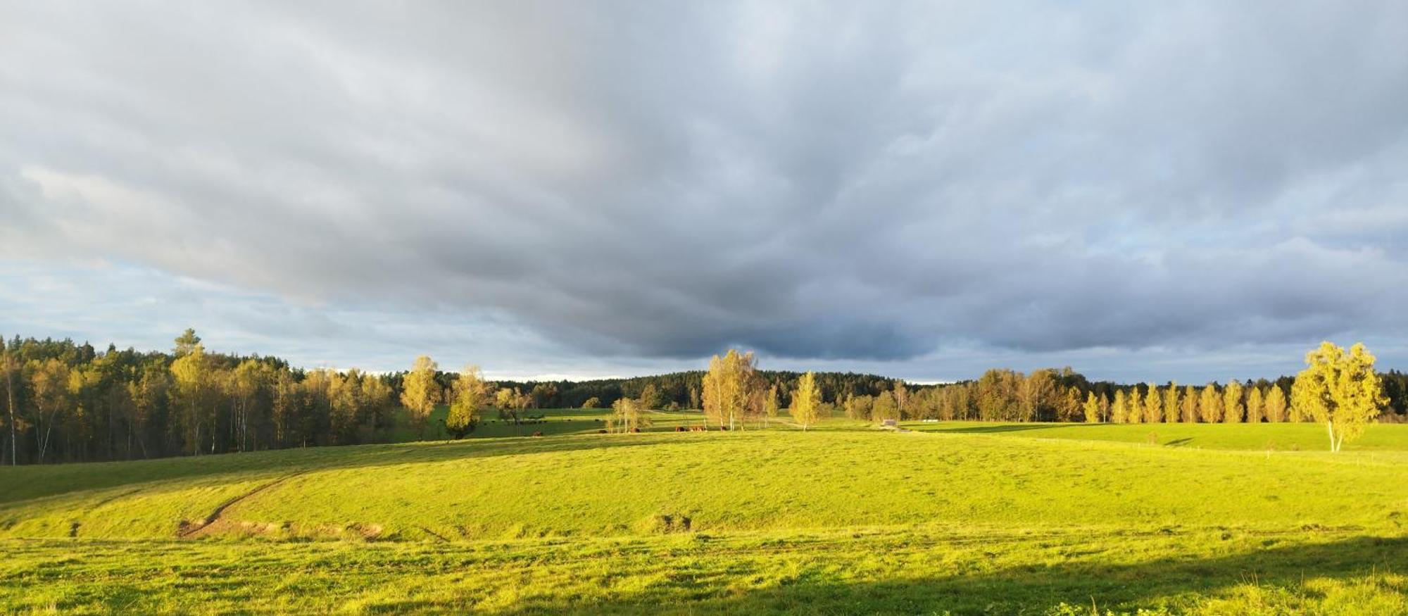 Вилла Unique Countryhouse & Sauna In Gauja Valley - Kakukalns Страупе Экстерьер фото