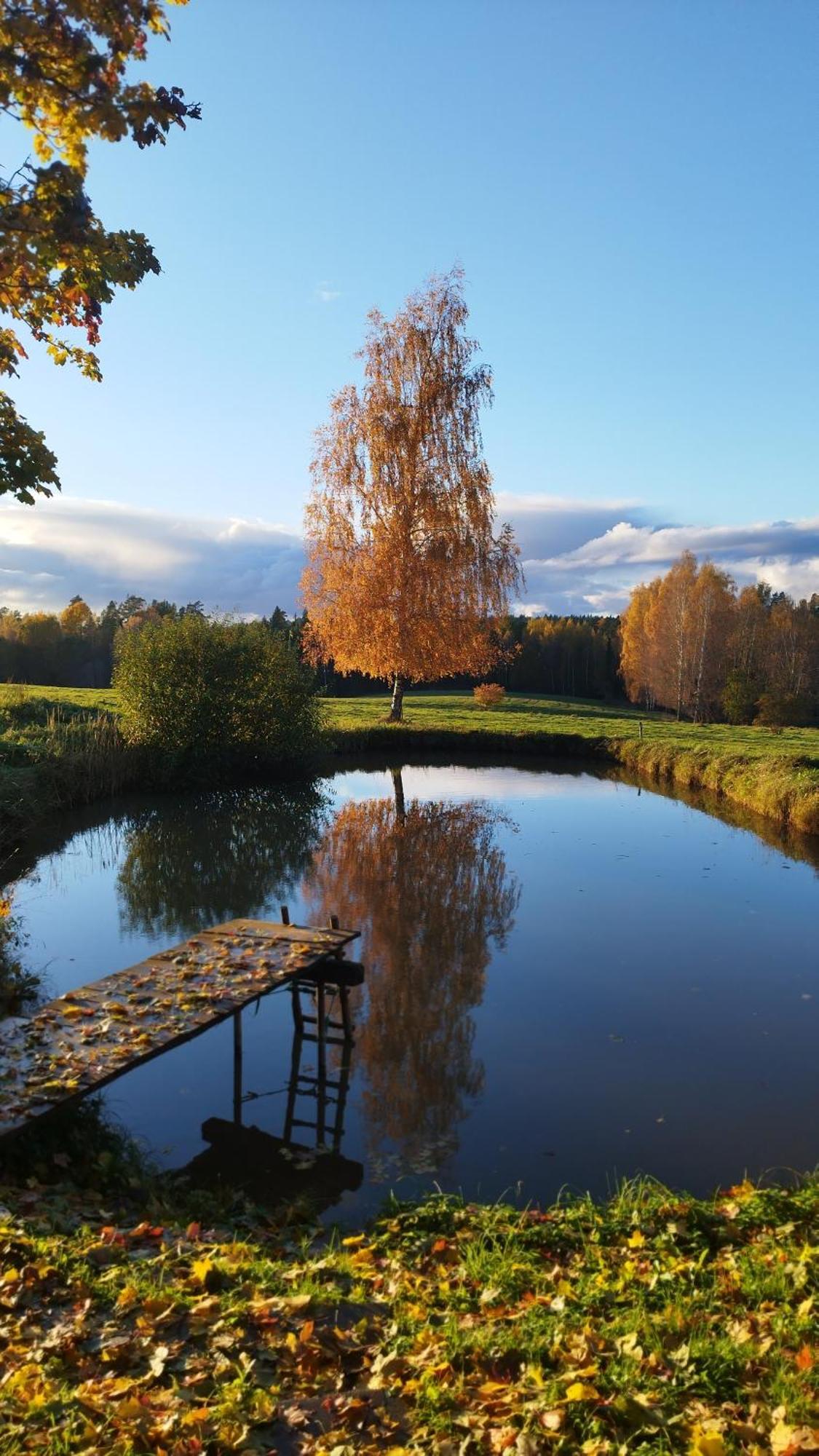 Вилла Unique Countryhouse & Sauna In Gauja Valley - Kakukalns Страупе Экстерьер фото